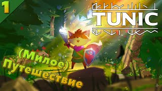 : Tunic -    ... ! / TUNIC  1  | -Zona
