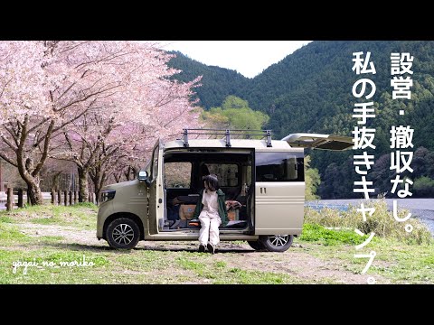 [Car camping] Relaxing under the cherry blossoms [Solo camp]