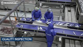 Pelagos: Pelagic Processing Plant