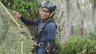Miller's Tree Service 2024 Tree Climbing Competition