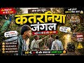     कतरनिया जंगल में पहली बार 😱 | मोर भी मिला, बाघ का डर भी! 🐅🦚 #vlog #jangal #funny 