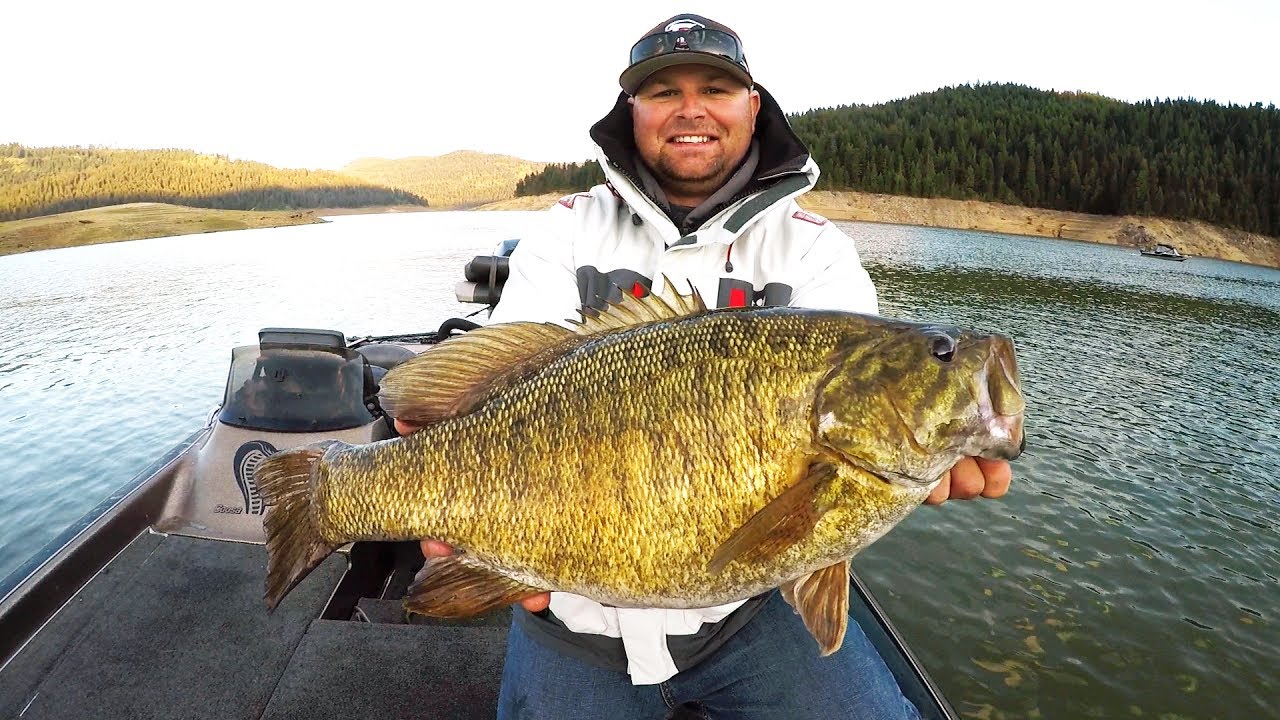 New Personal Best! GIANT Smallmouth Bass! 