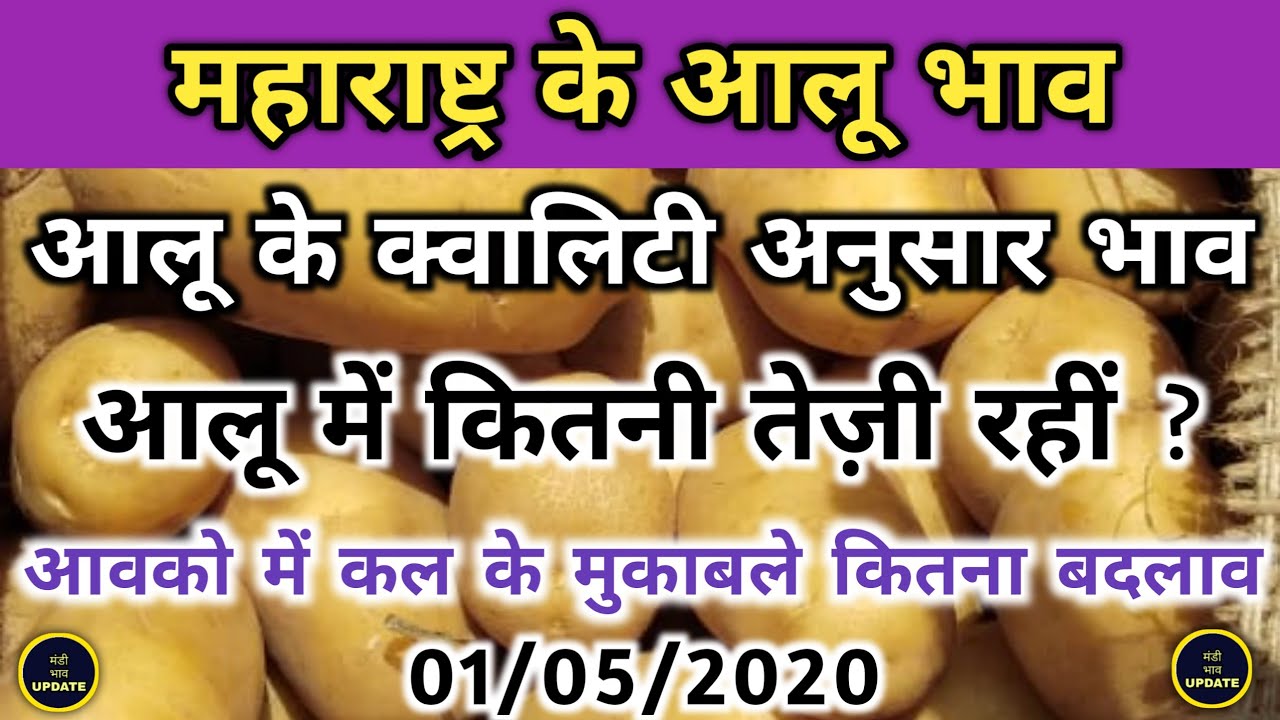 Maharashtra Potato Market Price 1 May 2020 Potato Wholesale Price