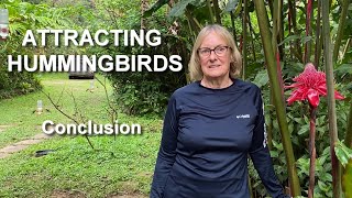 Secrets of Attracting Hummingbirds Put into Practice  TIP #7