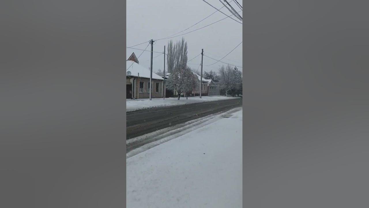 Снежная елка. Сгорел рынок. Светофор в шахтах. Погода шахты 4. Снежная елка.