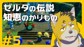 菅原トンボとゼルダの伝説 知恵のかりもの #5