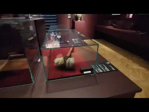 Выставка в Государственном Историческом Музее. Крузенштерн. Вокруг света 9.