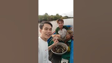 #Shorts Thăm rập cua Trúng Mánh @CaMauCuocSongQueToiChucLe