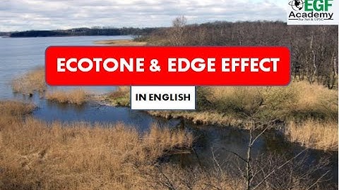 Ecotone l  Edge Effect l Ecotone and Edge effect l Ecotone In Ecology l Ecotone In english