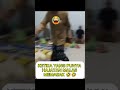 Hajatan yang paling kocak 🤣🤣🤣🤣😉
