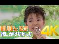 [4K] 미나미노 요코(南野陽子) - 話しかけたかった 1987 4K AI Upscaling