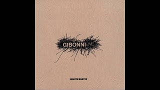 Video thumbnail of "Gibonni - Hodaj - Live"