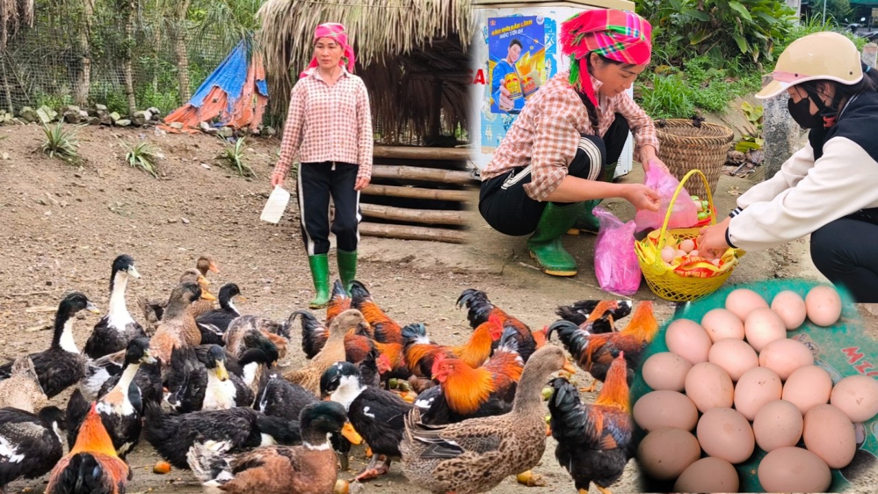 The single mother earned a small amount of extra money from selling eggs from her farm.