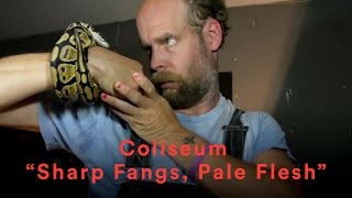 Coliseum - "Sharp Fangs, Pale Flesh" (Official Music Video)