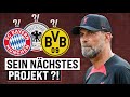 Jürgen Klopp: Welchen Verein wird er retten?! image