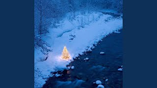 Winter's Blessings