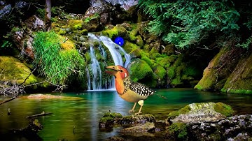 Tutorial Proshow   Master Mix Audio In Proshow Producer