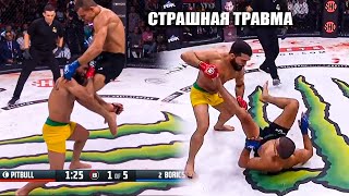 Наши Разнесли Всех! Обзор Bellator 286: Патриссио Фрейре , Эй Джей Макки, Аарон Пико, Токов,Мамедов.