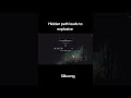 Hidden path leads to explosive - Silksong #silksong #hollowknight #cubetube #hollowknightsilksong