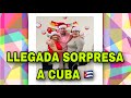 Llegada sorpresa a Cuba en Diciembre del 2020 ( Sin derechos de autor sobre la canción de fondo)