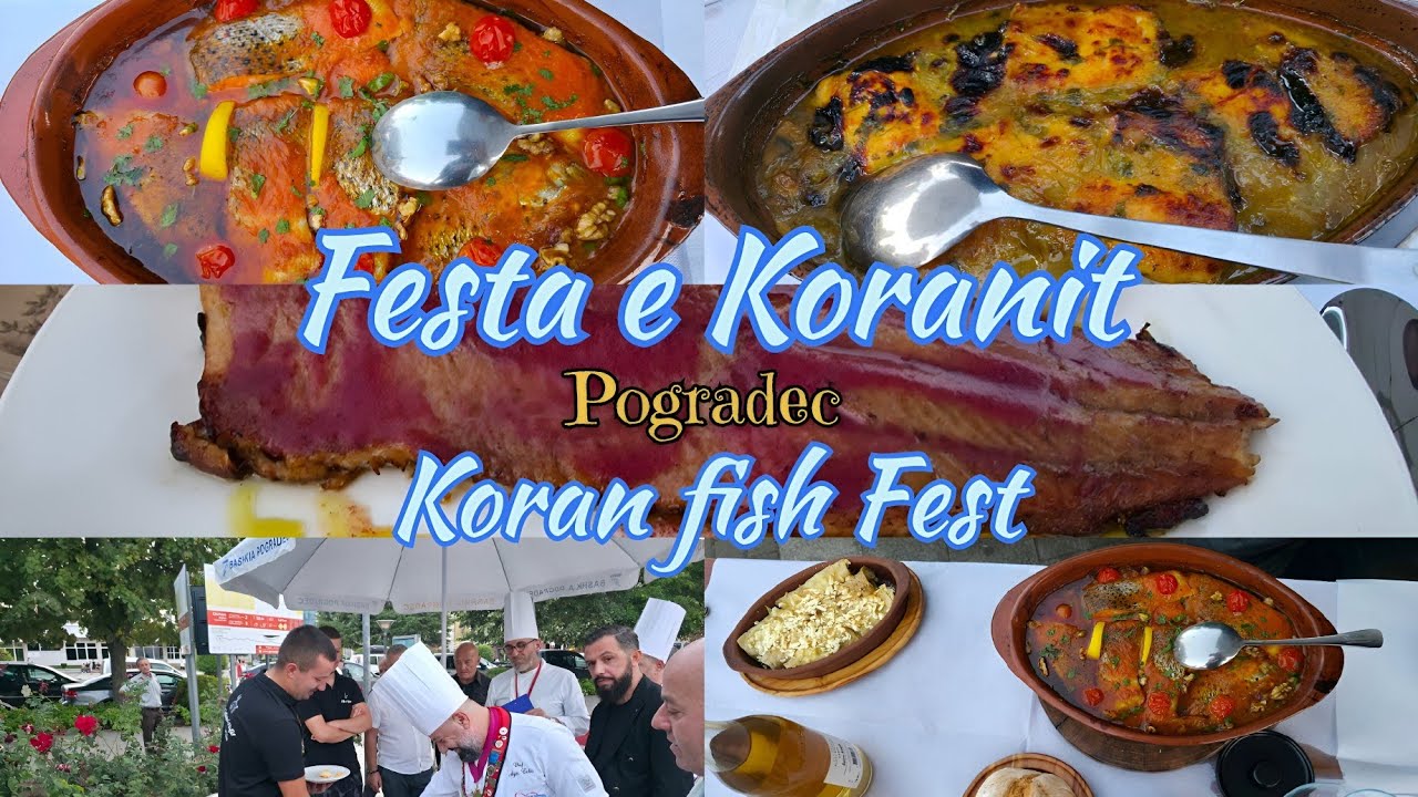 Festa e Koranit në Pogradec edicioni 2-të |2025 #fishing #fishfestival #ohrid #pogradec #kitchen 