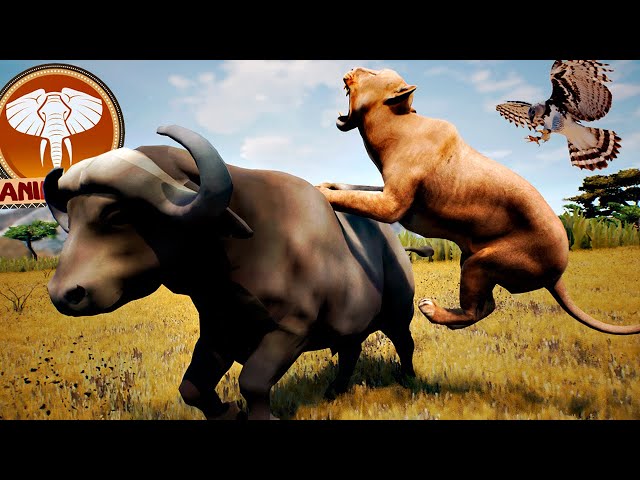 Animalia, Novo Jogo de Sobrevivência de Animais! Jogando de Leão, Hiena,  Elefante e Mais