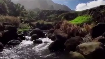 ‏سورة الكافرون والنصر ‏والمسد  ‏بصوت الشيخ عبد الرحمن السديس ارح قلبك♥️🤩✨