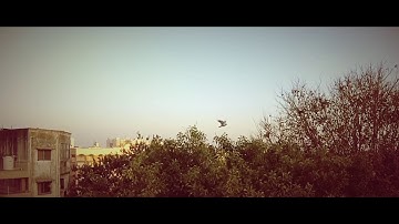 YI 4K Action Camera Slow Motion Footage | Yi 4K Camera Slow Mo Video