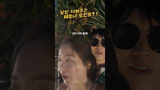 나.. 에겐남이랑 결혼한거였어..? 😨 충격과 공포의 날 #부부브이로그 #커플브이로그