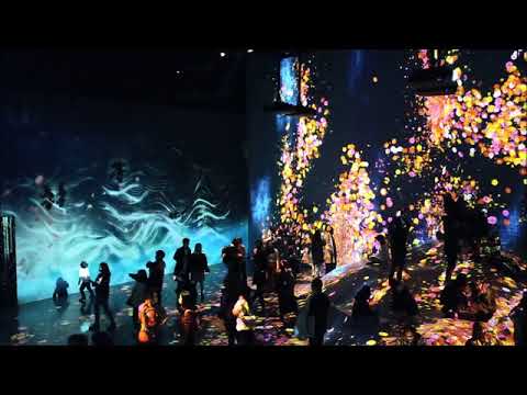 東京親子遊｜台場teamLab Borderless數位藝術美術館