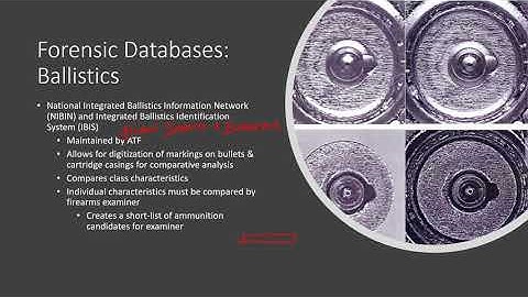015   Forensic Databases