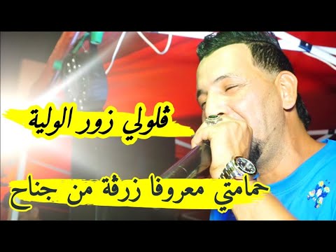 حمامتي معروفا زرڨة من جناح يبدع شيخ خالد سوقري  ڨلولي زور الولية    