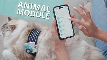 Revolutionize Pet Care with Healy Advisor Animal Module: Microcurrent Therapy for Pets