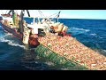 Amazing Big Fishing Catching Skill - Automatic packing and processing of fish on board trawler