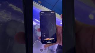 5g in 🇮🇳 ##viral #feed #shorts #5g #jio #iphone