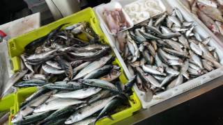 El Pescao mejor de Villagarcía