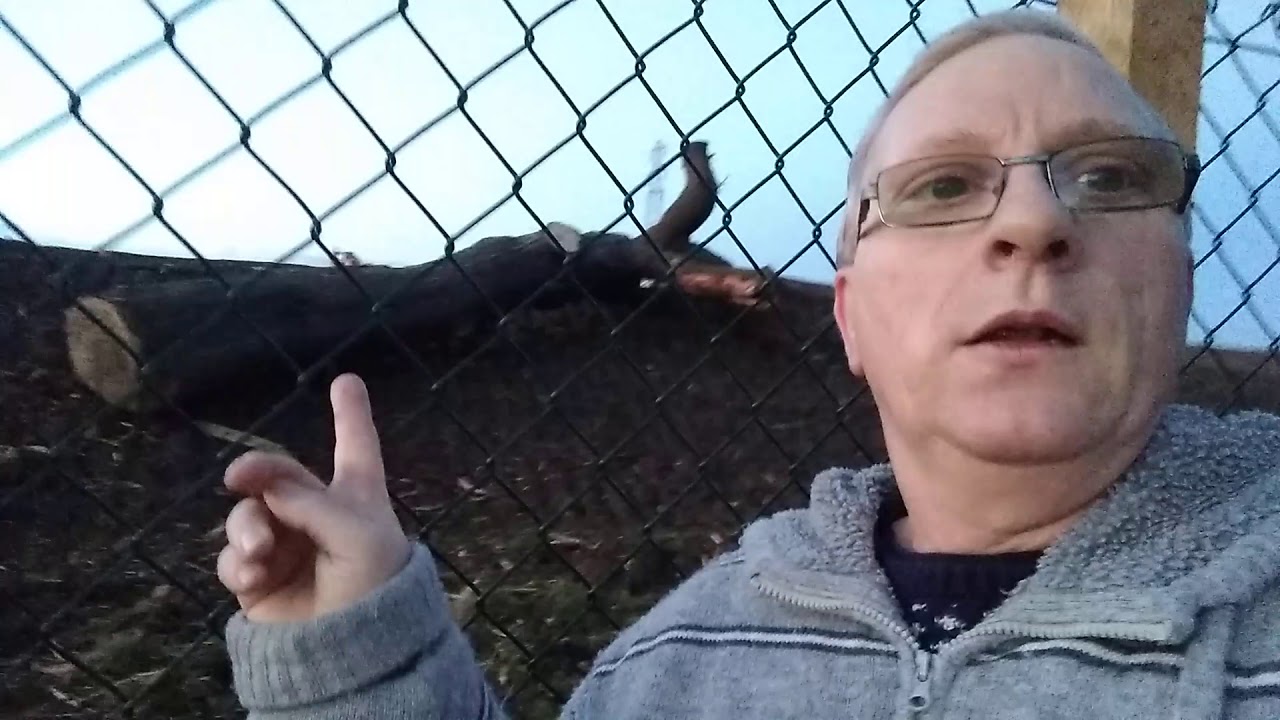 parkside Hoyland Common, opencast YouTube