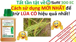 Cách sử dụng Sofit 300EC hiệu quả trên ruộng lúa | Pretilachlor | fenclorim | cỏ, lúa cỏ, lúa ma, screenshot 3