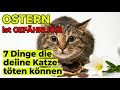 7 Osterdinge die deine Katze gefährden – und 12 Zeichen dass sie bereits gestresst ist l OSTERN