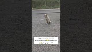 6219861401899868 توروخدا نزارید شرمنده ب نگاه این بچه ها بشم😭🙏🙏