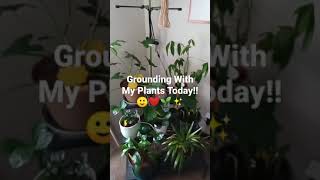 My Plant Wall!!🙂❤✨🌱 #plants #grounding #plantmom #houseplants #shorts