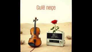 Gulê neçe #kurdistan_rojava_bakur_rojhelat_başur #duet #music #diyar