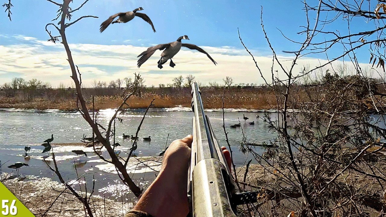 WIND Got the GEESE In! (Limited Out) | Late Season Goose Hunt