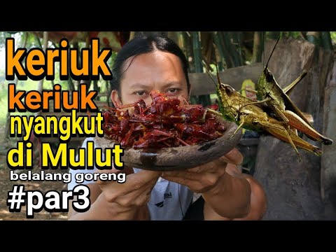 AMAZING TRIP Minggu, 29 September 2019 PART 1 : https://youtu.be/WR4DCNrCxoQ PART 2 : https://youtu.. 