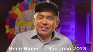 Video thumbnail of "Nene Nunes - Nunca Mais Vou Ficar Só #SãoJoão2023"