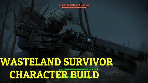 FALLOUT 4: CHARACTER BUILD, WASTELAND SURVIVOR