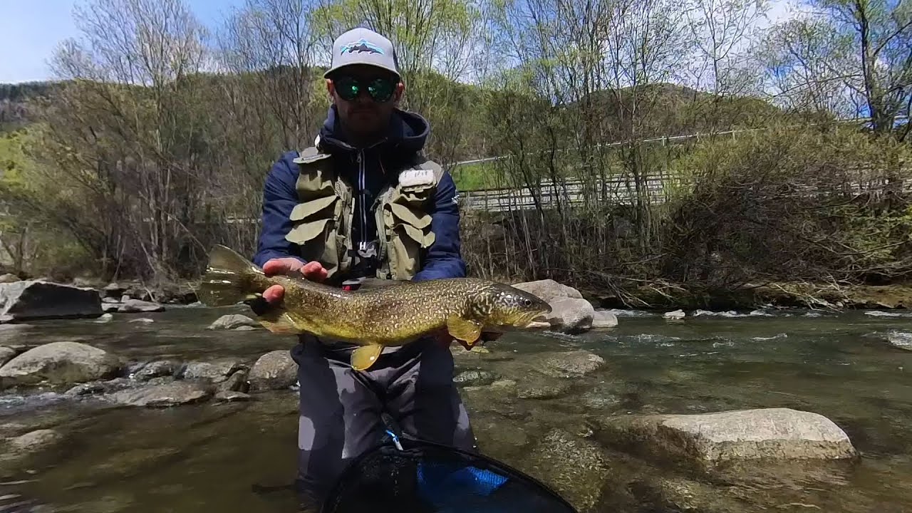 Le acque correnti del Noce