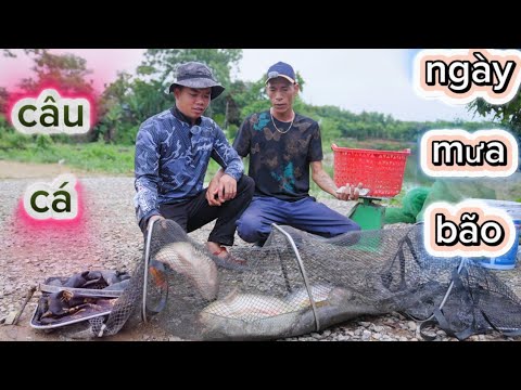 Câu Cá Ngày Mưa Bão