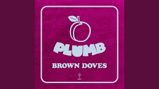 Brown Doves