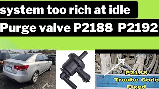 p2188 p2192 system too rich at idle bank 1 | #smoke  #forte #cerato #honda #toyota #hyundai
